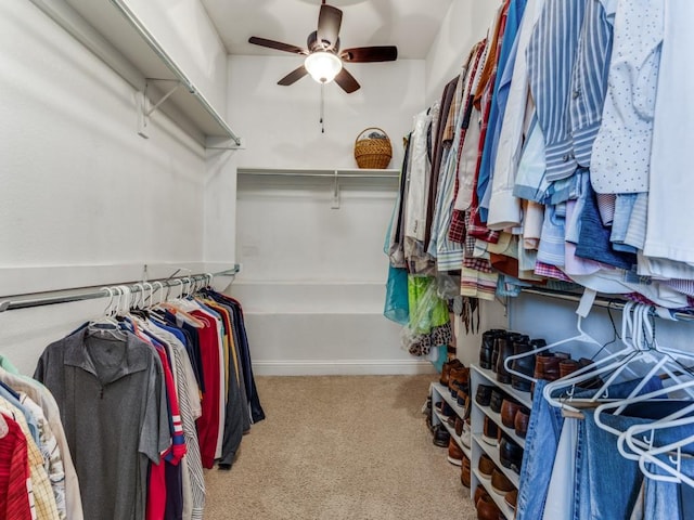 walk in closet featuring ceiling fan and carpet