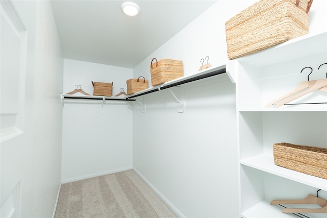 spacious closet with carpet floors