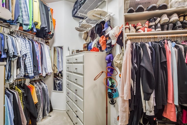 view of spacious closet