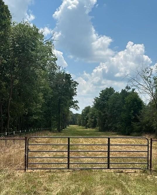 276 County Road 2470, Pickton TX, 75471 land for sale