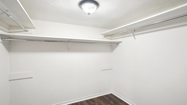 spacious closet featuring dark wood finished floors