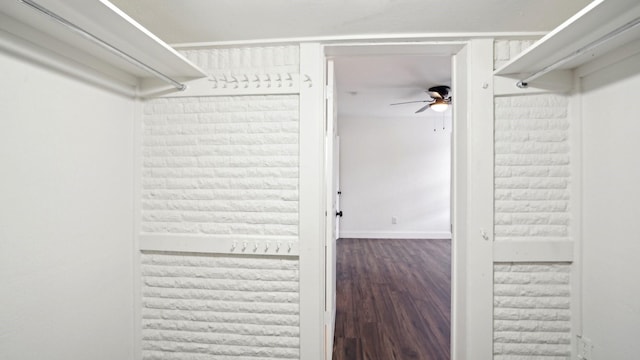 walk in closet featuring wood finished floors and a ceiling fan