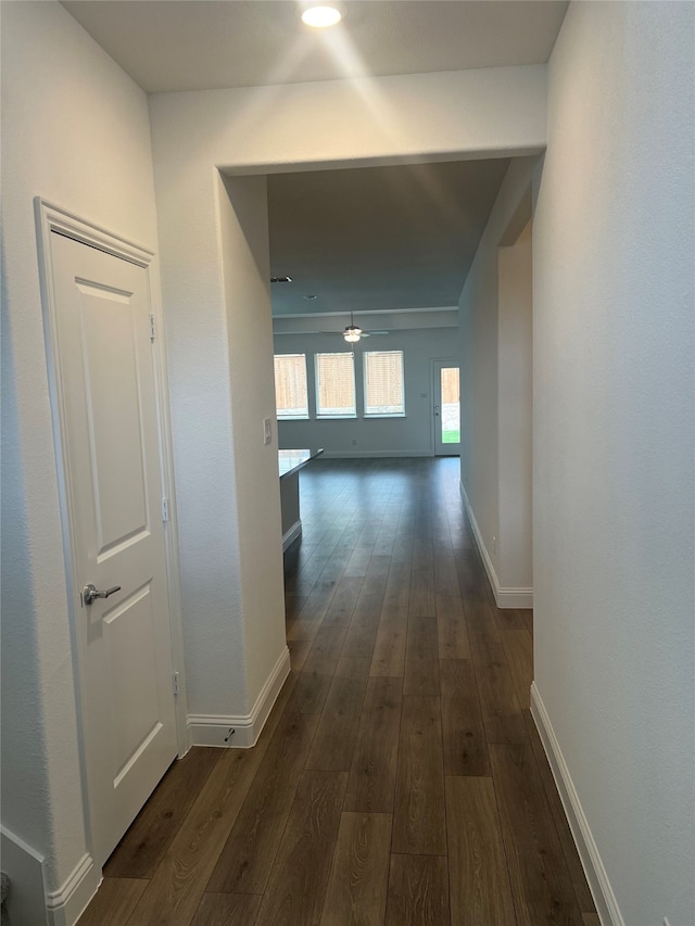 1336 Sheltola Way, Fort Worth, TX 76052 - hallway featuring baseboards and dark wood-type flooring