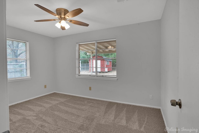 carpeted empty room with ceiling fan, plenty of natural light, and baseboards