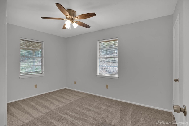 carpeted spare room with ceiling fan, a wealth of natural light, and baseboards