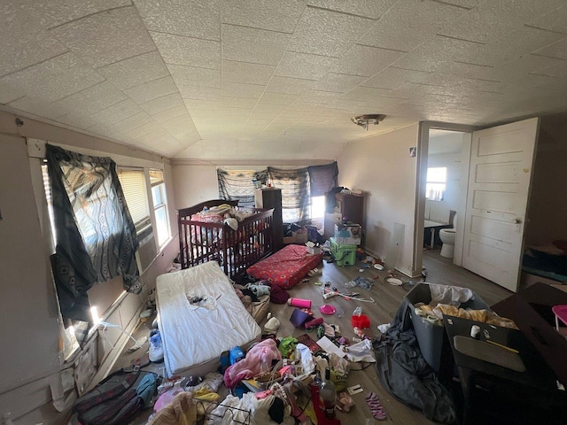 interior space featuring vaulted ceiling, multiple windows, wood finished floors, and connected bathroom