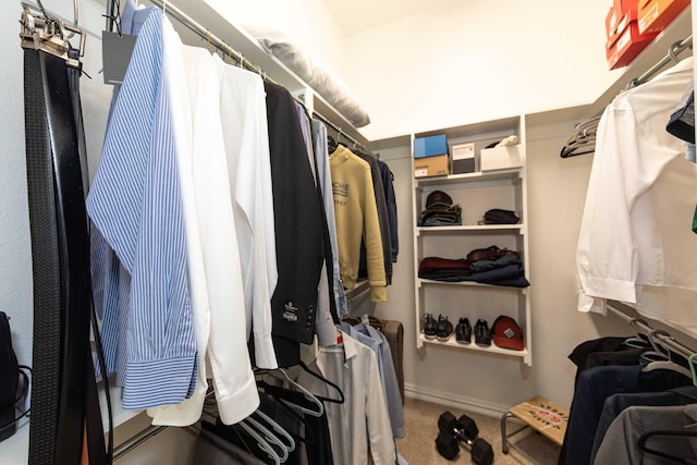 spacious closet featuring carpet