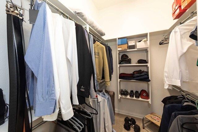 view of walk in closet