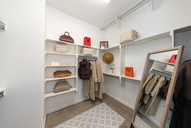 walk in closet featuring carpet flooring