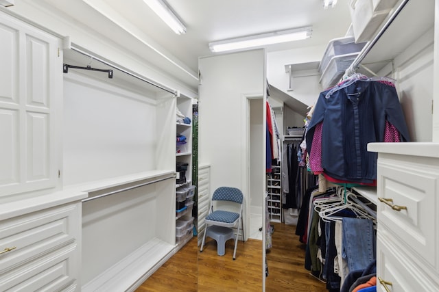 walk in closet featuring wood finished floors