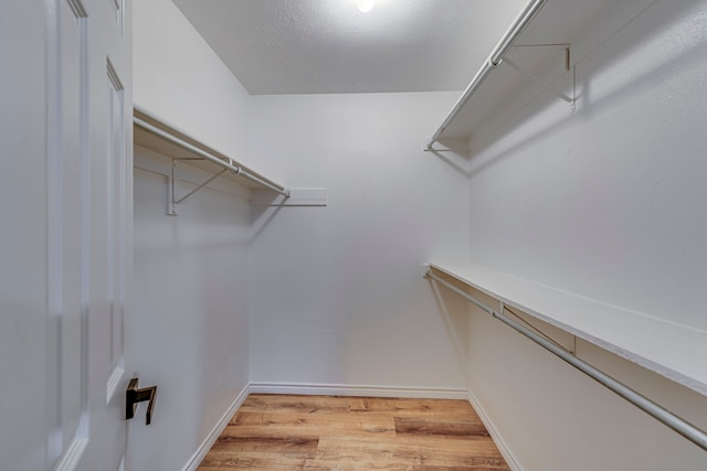 spacious closet featuring wood finished floors