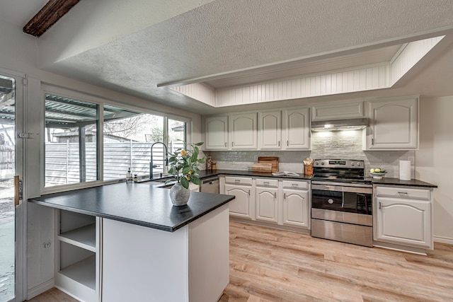 kitchen featuring a sink, stainless steel appliances, light wood-style floors, under cabinet range hood, and dark countertops