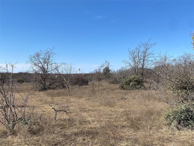 view of local wilderness with a rural view