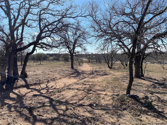 view of local wilderness