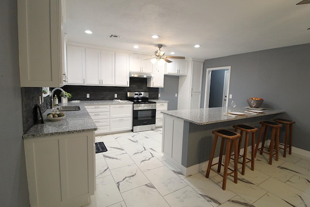 kitchen with decorative backsplash, stainless steel electric range oven, marble finish floor, under cabinet range hood, and a sink