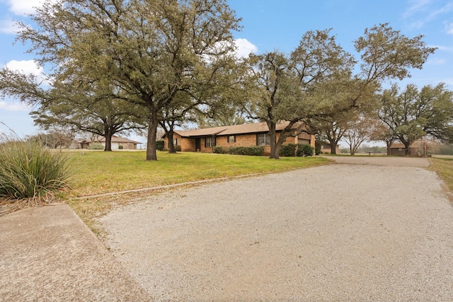 view of front of house with a front yard and gravel driveway