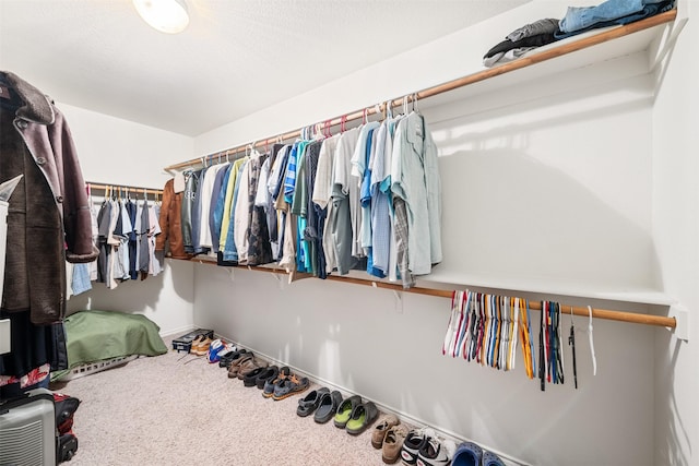 spacious closet with carpet floors