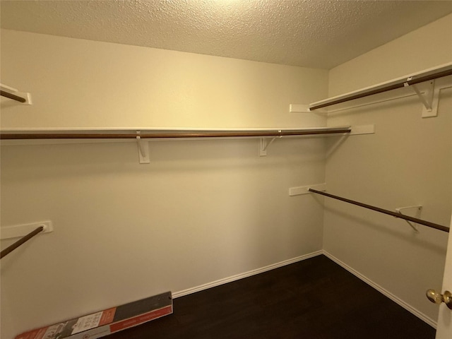 spacious closet with dark wood-style floors