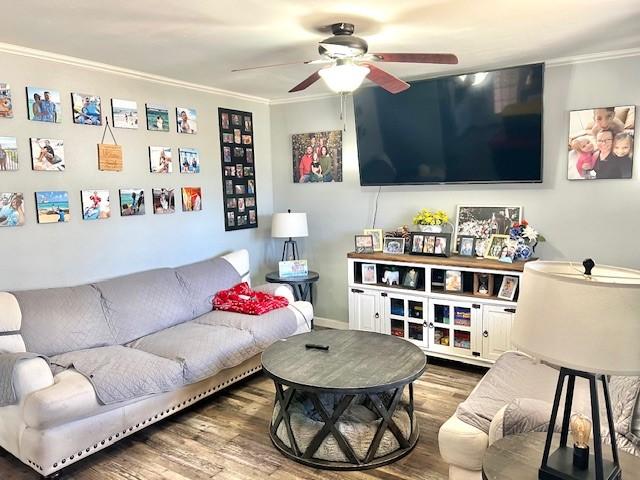 living area featuring ceiling fan, ornamental molding, and wood finished floors