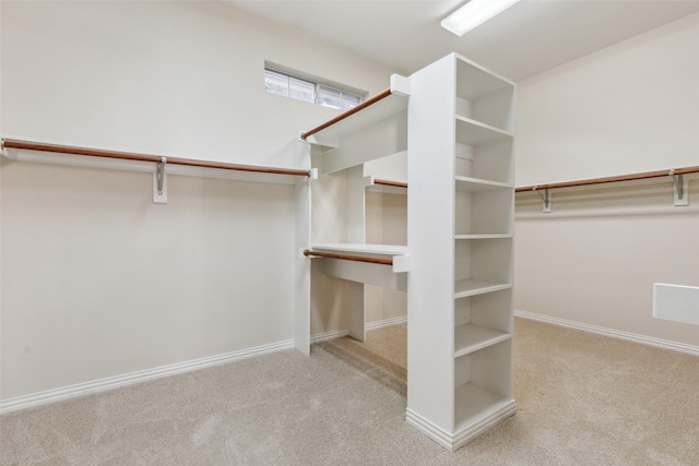 spacious closet featuring carpet floors