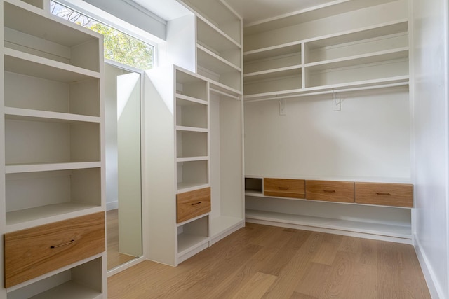 walk in closet with light wood-type flooring