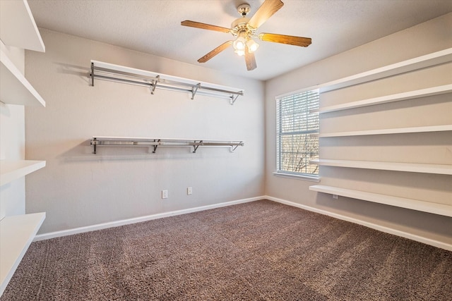 spacious closet featuring carpet and a ceiling fan