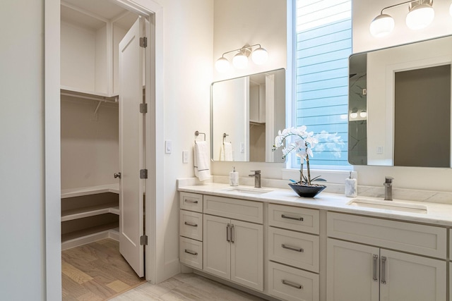 bathroom featuring double vanity, a walk in closet, and a sink