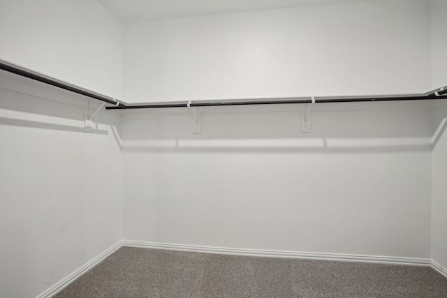 spacious closet with carpet