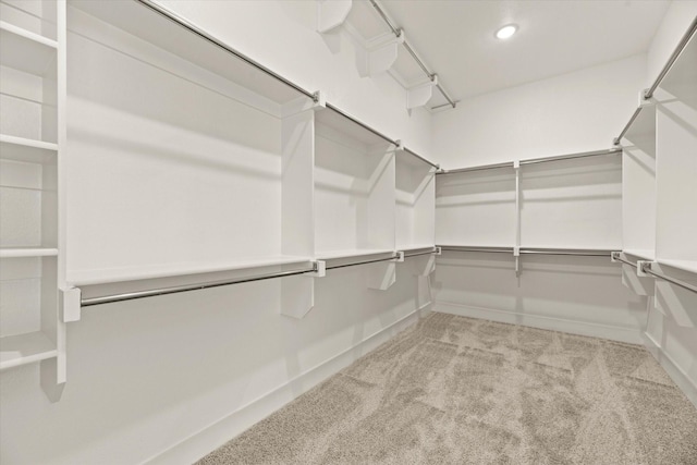 spacious closet featuring carpet flooring