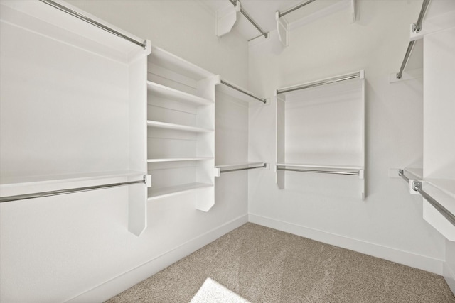 walk in closet with carpet