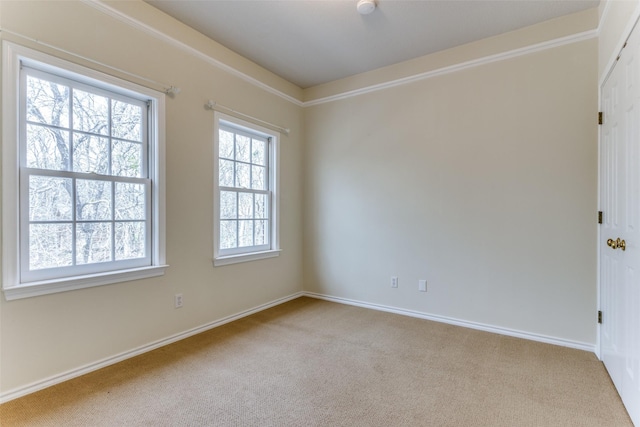 carpeted spare room with crown molding and baseboards