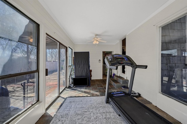 workout area with a ceiling fan, a sunroom, crown molding, and stone tile floors