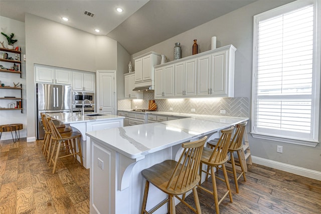 kitchen with visible vents, decorative backsplash, wood finished floors, stainless steel appliances, and a sink