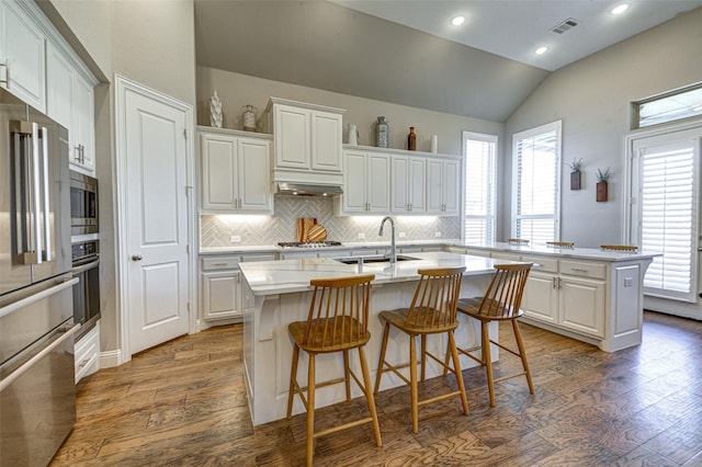 kitchen featuring visible vents, an island with sink, appliances with stainless steel finishes, wood finished floors, and a sink