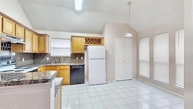 kitchen with electric range oven, freestanding refrigerator, a sink, dishwasher, and under cabinet range hood