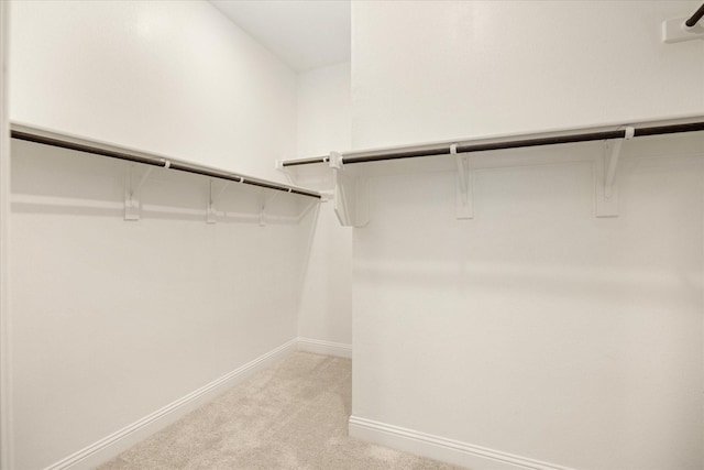 walk in closet with light colored carpet