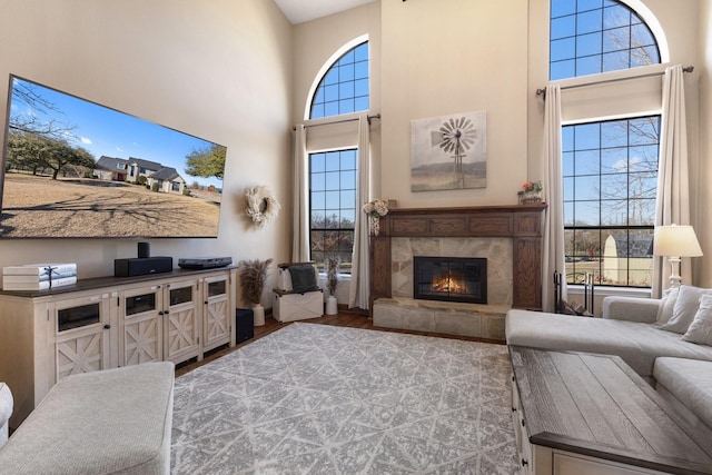 living area with a fireplace, a high ceiling, and wood finished floors