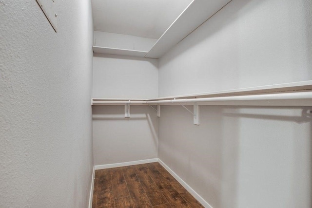 spacious closet featuring wood finished floors