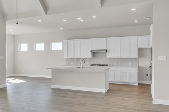 5509 Gaelic Dr, Celina, TX 75009 - kitchen featuring under cabinet range hood, tasteful backsplash, light countertops, and a sink