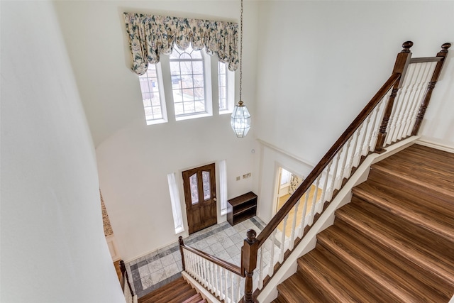 foyer entrance featuring a high ceiling and wood finished floors