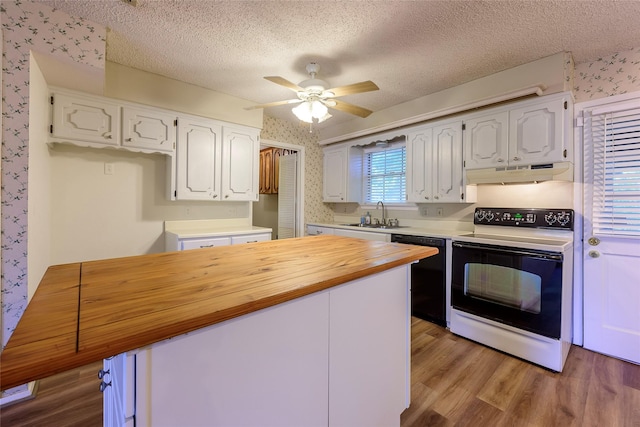 kitchen with wallpapered walls, black dishwasher, electric range, under cabinet range hood, and a sink