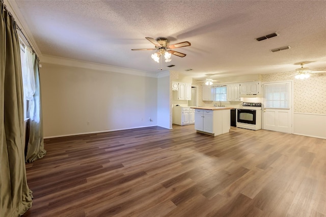 kitchen featuring a textured ceiling, stove, a kitchen island, a sink, and visible vents