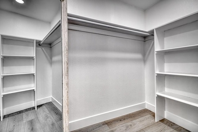 spacious closet featuring wood finished floors