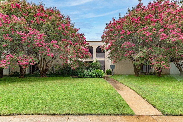 view of front of house with fence and a front yard