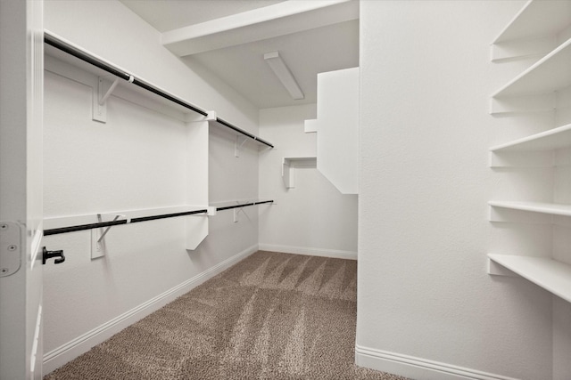 walk in closet with carpet