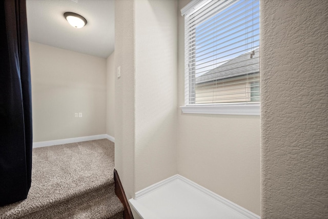 interior space with baseboards, carpet flooring, and a textured wall