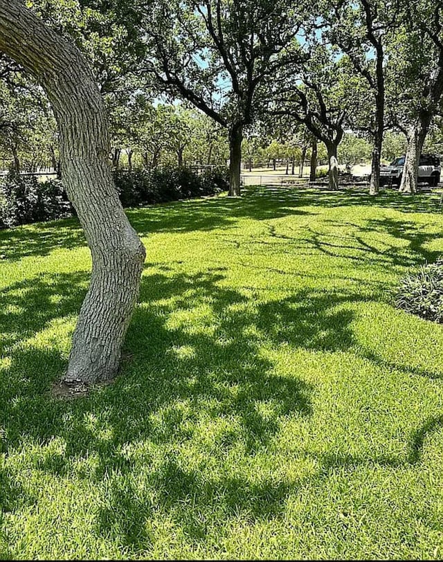 1265 S Main St, Jacksboro, TX 76458 - view of grassy yard