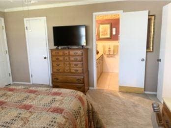 bedroom featuring ornamental molding, carpet, and connected bathroom