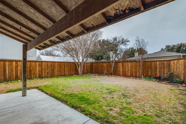 view of yard with a patio and a fenced backyard