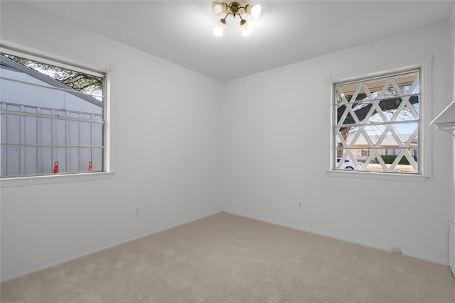 unfurnished room featuring ornamental molding, a healthy amount of sunlight, and carpet flooring